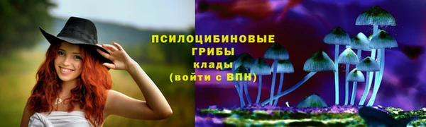 MESCALINE Алзамай