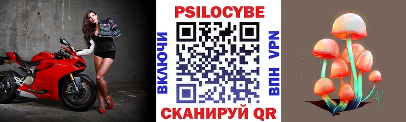 Псилоцибиновые грибы Cubensis  Кимовск 