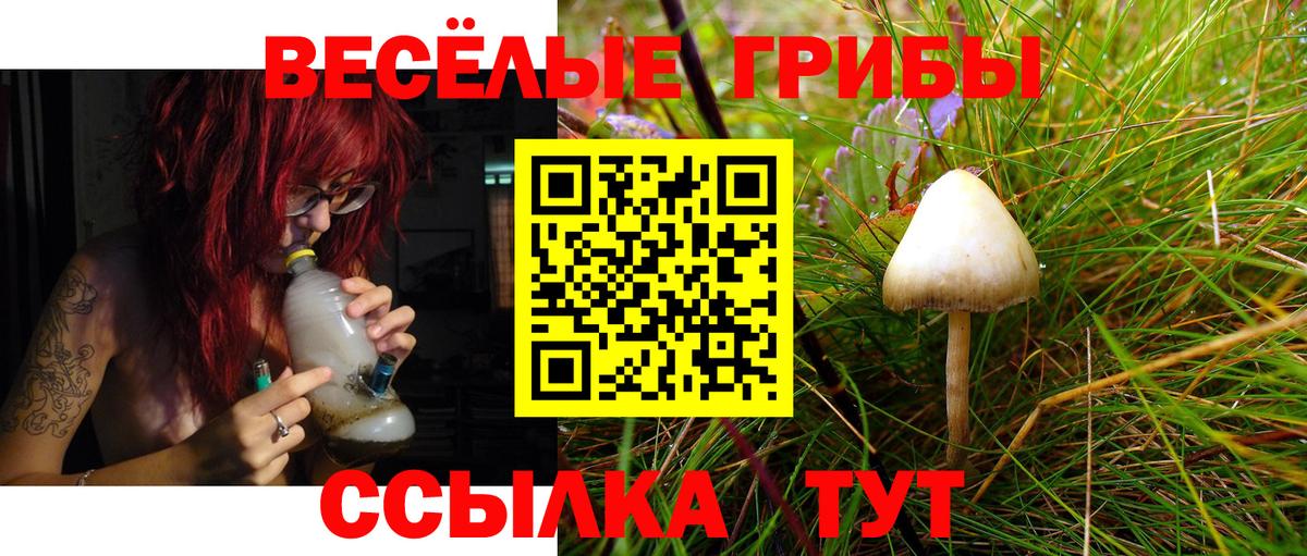 Галлюциногенные грибы Cubensis Кимовск