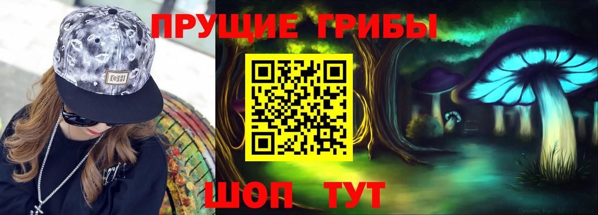 Псилоцибиновые грибы мицелий  Вход с VPN  Кимовск 