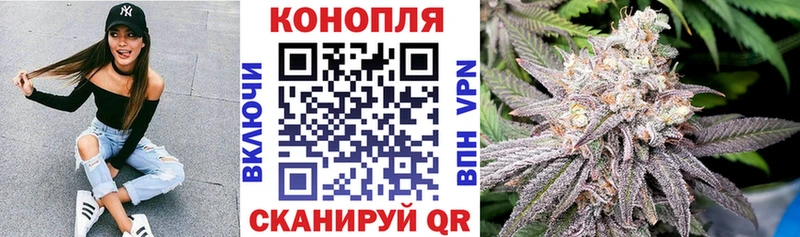 Бошки Шишки сатива  мега онион  shop состав  Кимовск 